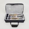 SLADE Ebony Clarinet Instrument B Flat 17 Key Gold-plated Key Professional Performance Clarinet with Back Belt Whistle Gloves