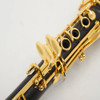 SLADE Ebony Clarinet Instrument B Flat 17 Key Gold-plated Key Professional Performance Clarinet with Back Belt Whistle Gloves