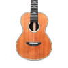 High End Top Cedar Side and Back Ziricote All Solid 26 inch Tenor Ukulele With Gig Bag