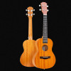 Music Practice 23 Inch Ukulele Guitars Beginner Girls Ukulele Travel Learn Small Guitar gitar free shipping violao music