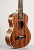 21" Ukulele Hawaiian guitar Rosewood Fretboard 4 strings Mahogany Electric Ukulele with Pickup EQ Musical Instruments