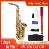 Eb Alto Saxophone Brass Lacquered Gold E Flat Alto Sax Woodwind Instrument with Carry Bag Gloves Straps Brush of Sax Accessories