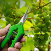 Garden Tools Secateurs Bonsai Shears Metal Gardening Scissor Pruning Tool Hand Cutter Fruit Picking Weed Household Potted 1PC