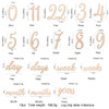 19pcs/lot Baby Milestone Number Monthly Memorial Cards Newborn Baby Wooden Engraved Age Photography Accessories Birthing Gift