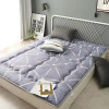 Dropshipping Customizable Size Mattress Soft Mattress Home Tatami Mat Was The Floor Mat Student 20922381