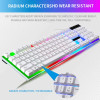 10Pcs RGB Gaming Keyboard Gamer Keyboard And Mouse Kit Ergonomic Wired Mechanical Keyboard + Mouse Combo 104 Key