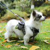 Portable Dog Training Treat Bag Outdoor Pet Dog Treat Pouch Puppy Snack Reward Waist Bag Dog Poop Bag Dog Carriers Bags