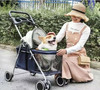 Outdoor Portable Folding Pet Trolley Car Dog Cat Mouse Rabbit Small Light Car Dog and Cat Carrier