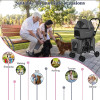 Foldable Pet Stroller, Dog Cage Jogger, Removable Carrier, Double Layer Cat Carrier, Trolley for Small and Medium Pet