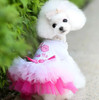 Hot Summer Lace Puffy Princess Dress Dog Clothes Print Fruit Cotton Dress For Small Medium Dogs Apparel Chihuahua Wedding Skirt