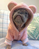 French Bulldog Clothes Winter English Bulldog Clothing American Bully Pitbull Costume Apparel Dropshipping Dog Coat Hoodie