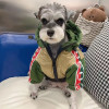 Designer Dog Clothes Winter Dog Apparel Classic Lettering Pattern Warm Soft Dog Hoodie Windproof Cold Weather Pet Coat