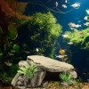 Turtle Reptile Habitat Hiding Caves Basking Amphibioues Vivid Safe Shelter For Turtle Aquarium Terrarium Decoration Pet Supplies