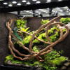 1.5/2.5/3m Bendable Jungle Climber Reptile Pet Supplies Reptiles Terrarium Decoration Large Flexible Vines Habitat Decor