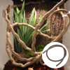 Artificial Vine Lizard Rattan Reptile Box Case Habitat Decor Bend Plant Leaves Ornament for Climbing Chameleon Lizards Gecko Artificial Vine Lizard Rattan Reptile Box Case Habitat Decor Bend Plant Leaves Ornament for Climbing Chameleon Lizards Gecko