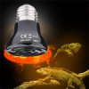 LED Red Reptile Night Light UVA FarInfrared Heat Lamp Ceramic Bulb For Snake Lizards Reptile Habitat Decorations Accessories