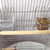 Parrot House Bird Cage Budgie Alcancias Travel Large Feeder Habitats Toys Bird Cage Houses Cage Pour Oiseaux Pet Decoration