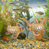 1pc Mini Sea Turtle Model Resin Ornaments Aquarium Fish Tank Home Landscape Decoration Accessories Fine Workmanship Layout Prop