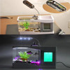 Usb Mini Goldfish Bowl Table Lamp Small Multifunctional Ecological Aquarium Office Decoration Fish Tank Clock Night Light