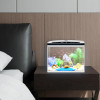 Mini Betta Fish Tank Glass Ecological Filter Oxygen Pump Small Guppy Table Lamp Creative Aquarium Decoration Terrarium Incubator