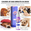 Pet Teeth Breath Cleaning Freshener Dog Cat Spray Care Cleaner 60ml Simple And Cute New Fashion Pet Litter & Housebreaking