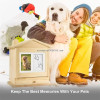 Pet Urn Pet Remembrance Box Memorial Can Place Picture Funerary Caskets