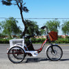 48v12a350w Electric Bicycle 20inch Bike Double Shock Absorption Highlight Lamp Large Capacity Basket Cycling