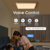MARPOU Tuya Smart LED Ceiling Lamp 