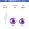 Sports Yoga Balls Balance Bola Pilates Fitness Ball with Pump Anti-Burst & Anti-Slip Gym Exercise Workout Body Building Massage