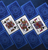 Tally-Ho Metalluxe Playing Cards USPCC Circel Back Deck Poker Size Card Games Magic Tricks Props