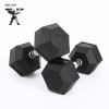 MIYAUP Men's Hexagonal Cast Iron Rubber-coated Dumbbells For Gym Workers And Professional Fitness Studios