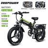 DEEPOWER 2000W Adults Electric Bike Bicycle 48V 20AH 20 Inch Fat Tire Folding Electric E Bikes Mountain Oil Brake 1000W Ebike
