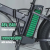 Electric Bike for Adults 1000W Motor 48V 15Ah Removable Battery 20inch Folding Fat Tire 40km/h Snow Mountain E-Bike