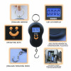 Portable 50Kg 10g Hanging Scale Digital Balance Weighing Weight Tool BackLight Weights For Fishing Luggage laboratory teaching