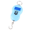 Portable 50Kg 10g Hanging Scale Digital Balance Weighing Weight Tool BackLight Weights For Fishing Luggage laboratory teaching