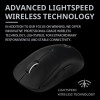 Logitech G PRO X Wireless Dual Mode Professional Grade ESports Gaming Mouse GPW Bullshit King II
