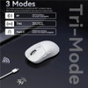 Attack Shark X3 Bluetooth Mouse , 49g Lightweight , PixArt PAW3395, Tri-Mode Connection, 26000dpi, 650IPS, Macro Gaming Mouse