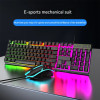 Gaming Keyboard and Mouse Set Kit RGB Backlit Mechanical Sense Ergonomic Keyboard and Mouse Combo for Home Office PC Setup Gamer