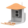 Smart Bird Feeder Camera Bird Watching CCTV Auto Capture Bird Buddies