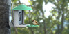 Smart Bird Feeder Camera Bird Watching CCTV Auto Capture Bird Buddies