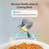 Smart Bird Feeder Camera Bird Watching CCTV Auto Capture Bird Buddies