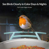Smart Bird Feeder Camera Bird Watching CCTV Auto Capture Bird Buddies