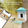 Smart Bird Feeder Camera Bird Watching CCTV Auto Capture Bird Buddies