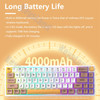 FEKER IK65 Mechanical Keyboard RGB 3 Modes Wireless Support Via 65% 4000mah PBT keycaps Bluetooth 2.4G Gasket Knob Faker ik65