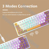 FEKER IK65 Mechanical Keyboard RGB 3 Modes Wireless Support Via 65% 4000mah PBT keycaps Bluetooth 2.4G Gasket Knob Faker ik65