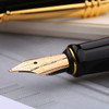 Picasso 90 Women and Flowers 14K Gold Nib Fountain Pen Bright Color with Original Gift Box for Writing Gift Collection