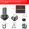 G2 Live Sound Card Q8 Microphone Sound Card USB Audio Interface Webcast Full Set of Live Broadcast Equipment For Phone Computer