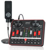 Sound Card G1 & L3 Condenser Microphone Set USB Sound Mixer Mic Audio Interface Sound Board for Phone Recording Live Streaming