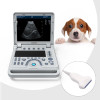 CONTEC CMS1700B-VET Color Doppler Ultrasonic Diagnostic System +abdomen covex probe/phased array probe/linearprobe
