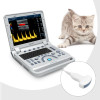 CONTEC CMS1700B-VET Color Doppler Ultrasonic Diagnostic System +abdomen covex probe/phased array probe/linearprobe